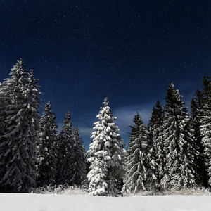 大地资源视频在线观看1
