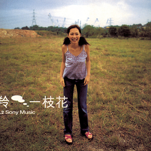 大地资源视频在线观看1
