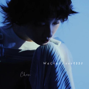 大地资源视频在线观看1
