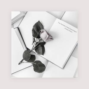 大地资源视频在线观看1
