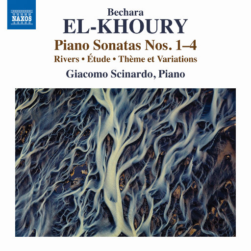 大地资源视频在线观看1
